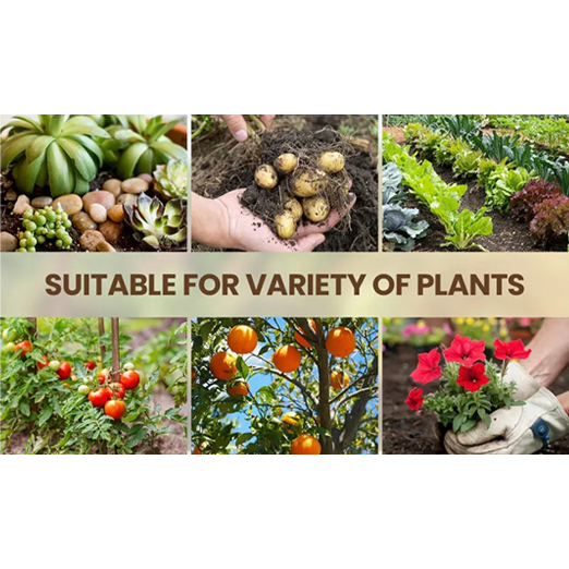 Soil Activator: Plants' Best Friend - Rejuvenate Your Plants