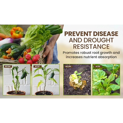 Soil Activator: Plants' Best Friend - Rejuvenate Your Plants