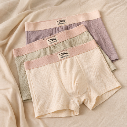 AirFlex Luxe Boxer Trunks