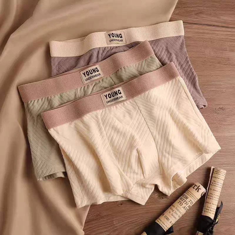 AirFlex Luxe Boxer Trunks